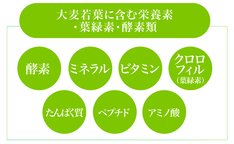 大麦若葉に含む栄養素