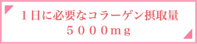 一日に必要なコラーゲン摂取量 5000mg