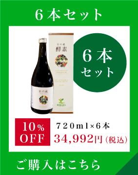 通常購入 6本セット 720mlx6本 34,992円（税込）