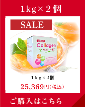 歳末SALE  1kg×2個 お得な大容量タイプ 1kg×2個 18,651円（税込）