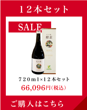 歳末SALE 12本セット 720ml×12本 66,096円（税込）